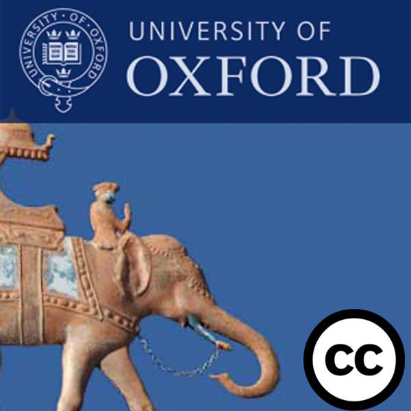 show image associated with the newsfeed