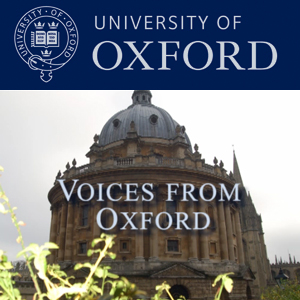 Albumcovervoices